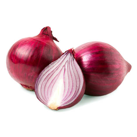 Onion Seeds پیاز